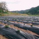 다래골농장 이미지