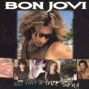 SLOW ROCK SONGS 01. Always - Bon Jovi 이미지