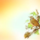 나무와 새 이미지