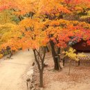 갑곶돈대관광안내소 이미지