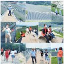 이례농장 이미지