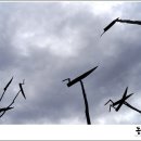 모운동길 이미지