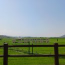 신답농장 이미지