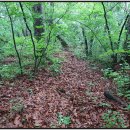 왕산면사무소 이미지