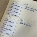 강남드림 | [내돈내산 렌즈삽입술 후기] 강남 드림성모안과에서 렌즈삽입술 후 3개월 후기! (4탄)