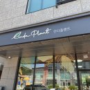 린다플랜트