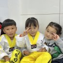 송정중앙초교병설유치원 | 어룡초태권도 송정중앙초태권도 소촌동태권도 어룡...놀이로 성장하는 시간, 유치원 전문반 유아체육...