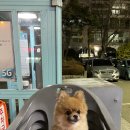 천*호 이미지