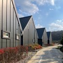 더 레이크 서지 이미지