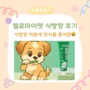 헬로 마이펫 | 강아지치약 리뷰 | 다이소 헬로마이펫 식빵향 실사용 후기