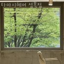 타마시헤어(성복점) 이미지