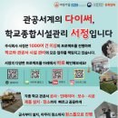 천안용곡초등학교 이미지