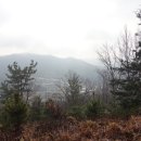 건배식당 이미지