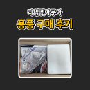 라임펫 | 라임펫아쿠아 용품 구매 후기