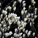 민행정사사무소 이미지