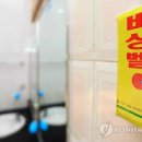 정예태양광 이미지