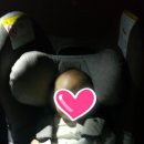 충청양복