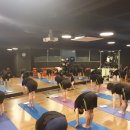 GOTO 논현 이미지