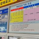 (유)정선 | 강원도 정선 가볼 만한 곳 ㅣ 화암 동굴 아이랑 솔직 후기