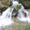 대암약수터 이미지