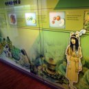 성산패총(유물전시관) 이미지