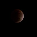 레드문(Red Moon) 네이버블로그