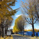 암사역사공원 이미지