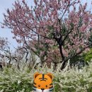 에코공원 이미지