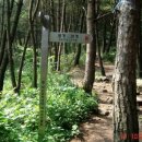 마산우체국 이미지