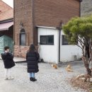 공주 고급 키즈글램핑장 행복한 기억을 가득 담아온 파크오브드림 후기 공유
