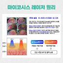 라파엘외과의원 네이버블로그
