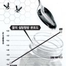 [시험에 안 나옴] 동위원소의 화학적 성질도 다르다는 것 : 가짜 꿀을 동위원소 비로 판정 이미지