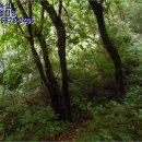 구산면578 이미지