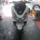 피시스토리 이미지