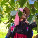 한들농장 이미지