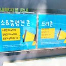 렛츠독 | 부천 애견 수영장 서울근교 렛츠플레이독 중형견 강아지 또 방문 후기