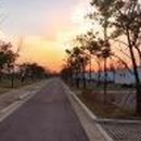수도권매립지 캠핑장 이미지