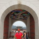 천년나무 세종부동산중개사사무소 | 할미꽃 여행 주목 나무 구상 터줏대감 홍천 조선 시대...부동산 공인중개사 왕 봄 궁궐 노태우 대통령...