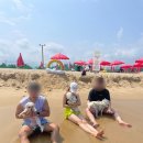 도도독 | 양양 애견동반 펜션 도도독에서 행복했던 1박2일 후기
