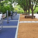 비봉체육공원 이미지