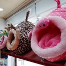 갈마애견 이미지