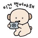카페이매진