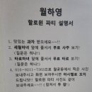 아이영