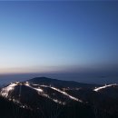 정도하이원