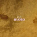 종도건어물 이미지