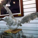 환경생태관 이미지