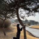 파인빌 | 서울근교 파주 파인빌 파쓰리골프장(PAR3)이용 후기(겨울골프라운딩 숏게임)