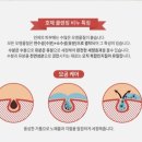 호체 - 강남구 봉은사로30길 70 | 호체