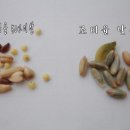 씨가닉 이미지