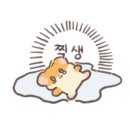언양농장생오리 이미지